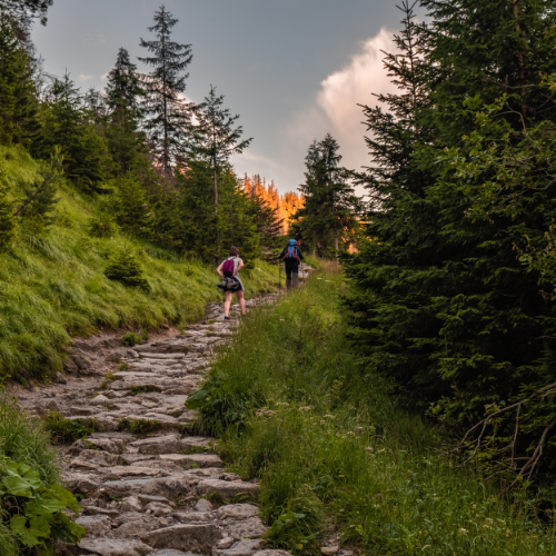 Hiking